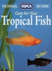 Image for The Care for your Tropical Fish