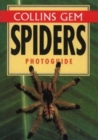 Image for Collins Gem Spiders Photoguide