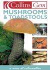Image for Mushrooms and toadstools