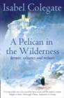 Image for A pelican in the wilderness  : hermits, solitaries and recluses