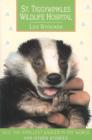 Image for St. Tiggywinkles Wildlife Hospital  : Wilf, the smallest badger in the world and other stories : Wilf, the Smallest Badger and Other Stories