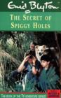 Image for Enid Blyton&#39;s The secret of Spiggy Holes  : screenplay novelisation : Film-script Novelisation