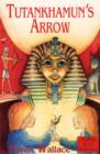 Image for Tutankhamun&#39;s arrow
