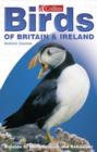Image for Collins birds of Britain &amp; Ireland  : a guide to identification and behaviour