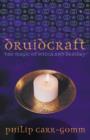 Image for Druidcraft  : the magic of Wicca &amp; Druidry
