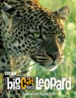 Image for Leopard : Leopard