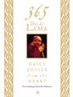 Image for 365 Dalai Lama