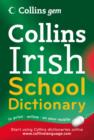 Image for School Irish dictionary