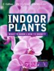 Image for Indoor plants