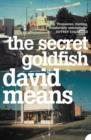 Image for The secret goldfish
