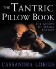 Image for The tantric pillow book  : 101 nights of sexual ecstasy