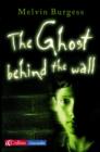 Image for The ghost behind the wall