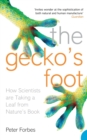 Image for The gecko's foot  : how scientists are taking a leaf from nature's book