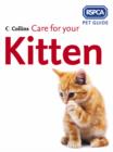 Image for Care for your kitten