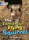 The Fantastic Flying Squirrel : Band 04/Blue - Bishop, Nic