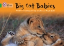 Image for Big cat babies