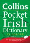 Image for Collins Irish dictionary