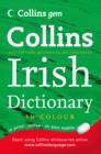 Image for Irish Dictionary