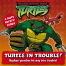 Image for Turtle in trouble