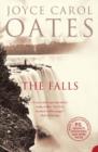 Image for The falls  : a novel
