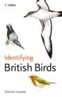 Image for Identifying British Birds