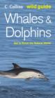 Image for Whales, dolphins and porpoises