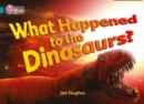 Image for What happened to dinosaurs?