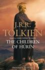 Image for Narn i chãin Hâurin  : the tale of the children of Hâurin
