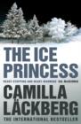 Image for The Ice Princess