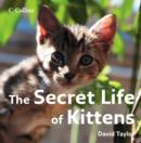 Image for The Secret Life of Kittens