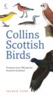 Image for Collins Scottish birds