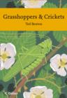 Image for Grasshoppers and Crickets