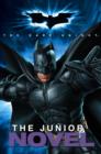 Image for &quot;Batman - the Dark Knight&quot; - The Junior Novel