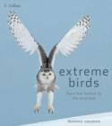 Image for Extreme Birds