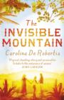 Image for The invisible mountain