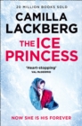 Image for The ice princess