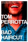 Image for Bad haircut: stories of the seventies