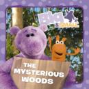 Image for The mysterious woods