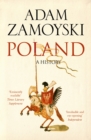 Image for Poland: a history