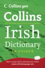 Image for Irish dictionary