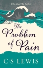 Image for The problem of pain