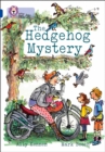 Image for The hedgehog mystery