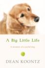 Image for A big little life  : a memoir of a joyful dog