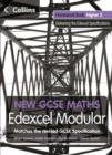 Image for New GCSE maths: Edexcel modular