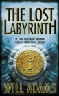 Image for The lost labyrinth