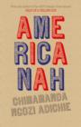 Image for Americanah