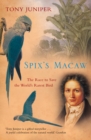 Image for Spix&#39;s Macaw: the race to save the world&#39;s rarest bird