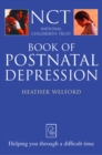 Image for Postnatal depression