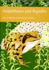 Image for Amphibians and reptiles