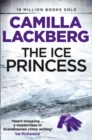 Image for The ice princess